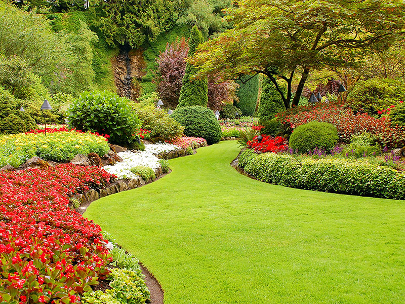 Garten_003_800x600px