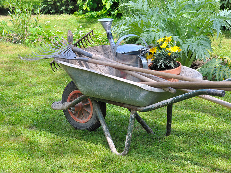 Garten_002_800x600px